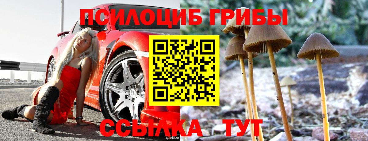 Галлюциногенные грибы Magic Shrooms  Вход с VPN  Псилоцибиновые грибы Magic Shrooms  Курчатов 