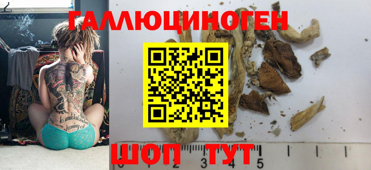 Галлюциногенные грибы Magic Shrooms Курчатов